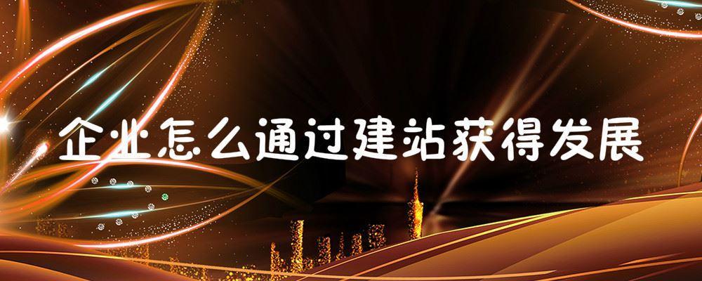 企業怎么通過建站獲得發展 企業怎么通過建站獲得發展