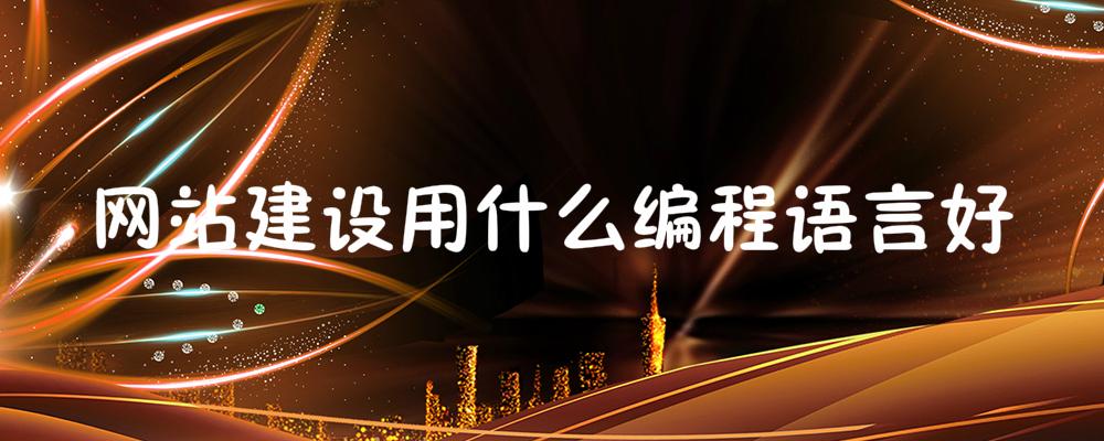 網站建設用什么編程語言好