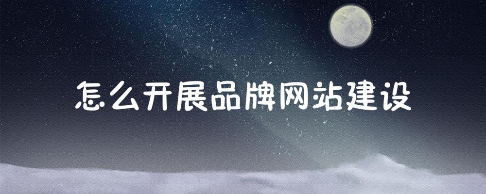 怎么開(kāi)展品牌網(wǎng)站建設(shè)