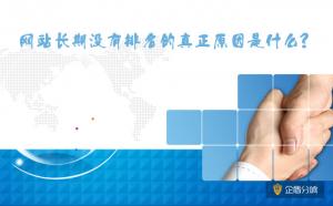 北京網(wǎng)站優(yōu)化:網(wǎng)站長(zhǎng)期沒有排名的真正原因是什么?